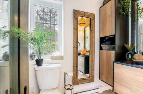 a bathroom with a toilet and a mirror at L'Oasis Zen bord de L'eau & Spa in Nominingue