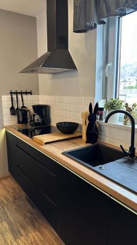a kitchen with a sink and a counter top at Domki Lubiane in Brenna
