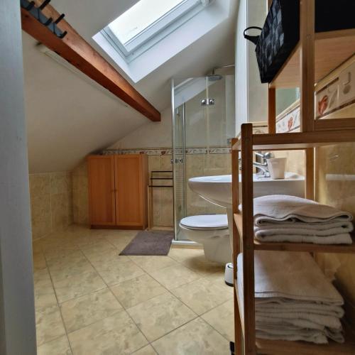a bathroom with a toilet and a sink with a skylight at Maison de charme au cœur de Genève ! in Geneva