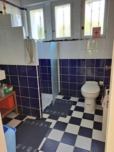 La salle de bains est pourvue de toilettes et de carrelage bleu et blanc. dans l'établissement landelijke woning, à Saint-Romain