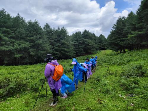 a group of people walking down a trail at Playing Again Hostel in Lijiang