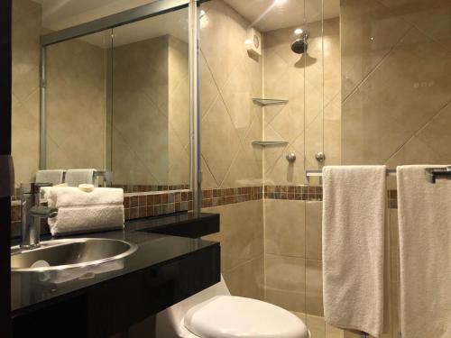 y baño con aseo, lavabo y ducha. en Suites Capri Reforma Ángel 380 en Ciudad de México