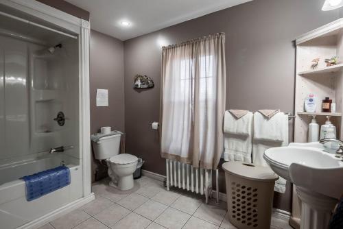 a bathroom with a toilet and a sink and a shower at Jeddore Lodge in Head of Jeddore