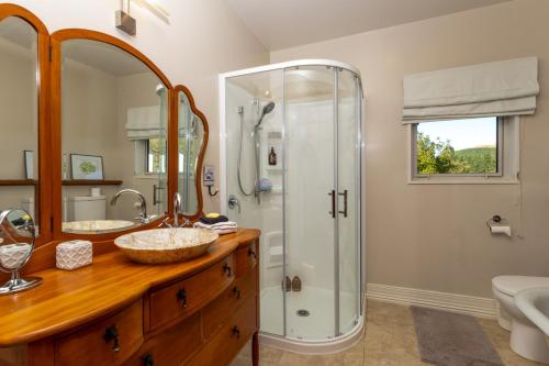 y baño con ducha y lavamanos. en Mt Hutts Closest Accom, en Mount Hutt