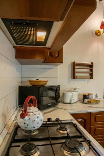 a kitchen with a stove top with a tea pot on it at Villa Belvedere in Pieve Fosciana