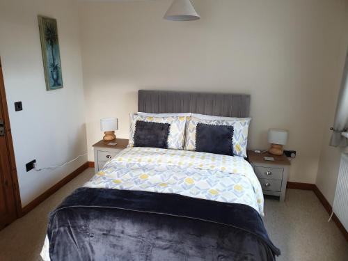 a bedroom with a large bed with two night stands at Cosy Pembrokeshire Home in Pembrokeshire