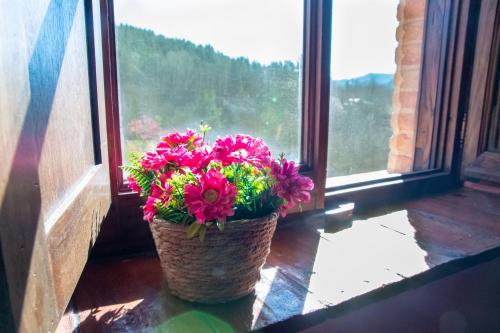 a basket of flowers sitting in front of a window at Villa Belvedere in Pieve Fosciana