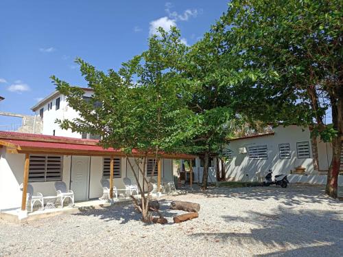 a house with chairs and a tree in front of it at El Bucanero in Las Terrenas