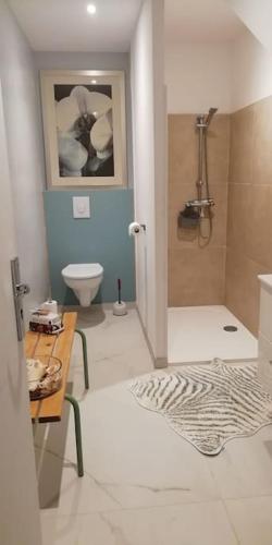 une salle de bain avec douche et toilettes et une table dans l'établissement Studio en rez de jardin, à Collobrières