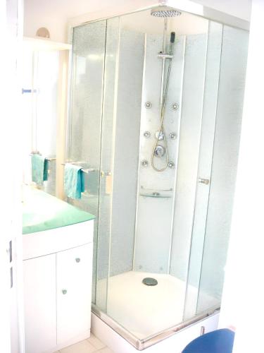 une douche avec une cabine en verre dans une salle de bain dans l'établissement Appartement charmant à Cabourg avec piscine partagée (24 m²), à Cabourg