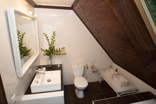 een badkamer met een toilet en een wastafel bij Chalupa Dlouhý Důl 19 in Krásná Lípa
