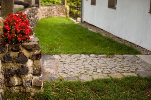 Taman di luar Chalupa Dlouhý Důl 19