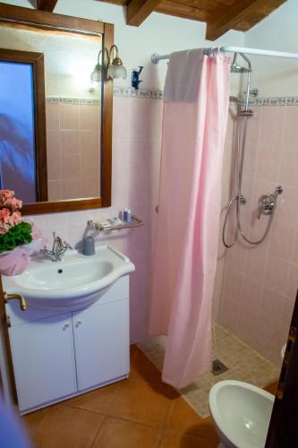 a bathroom with a sink and a shower at Villa Belvedere in Pieve Fosciana