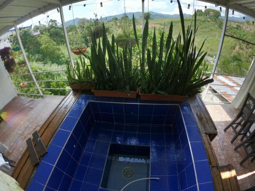 a swimming pool with plants in a house at Apto Tipo Cabaña Cerca aeropuerto (PEI) in Pereira