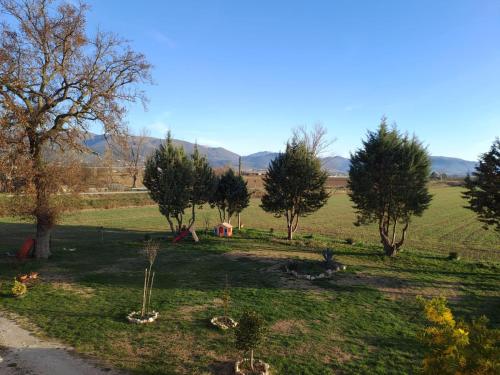 un grupo de árboles en un campo de hierba en Casale Crisanti en Beroide