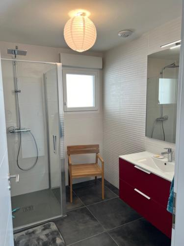 une salle de bain avec une douche, un lavabo et un miroir dans l'établissement Appartement Neuf VUE LAC 6/8pers, à Gérardmer