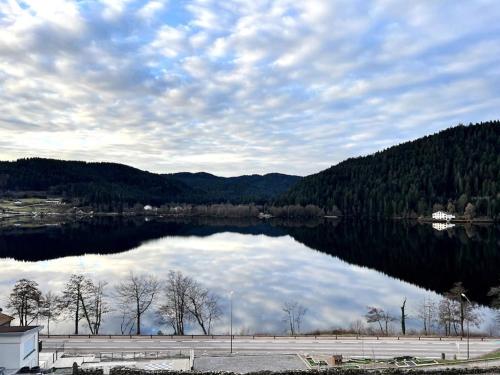 Appartement Neuf VUE LAC 6/8pers