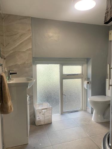 a bathroom with a toilet and a sink and a window at City Centre Skyline Private Room in Dublin