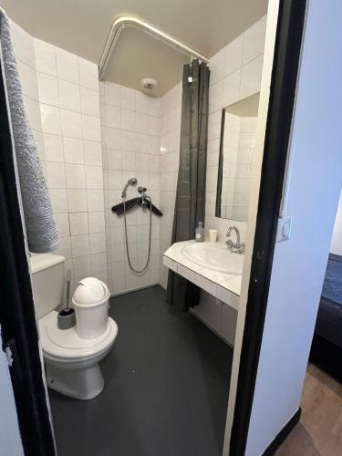 a bathroom with a toilet and a sink and a shower at Ludotel in Belley