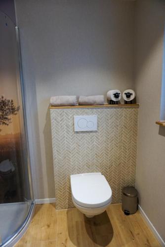 a bathroom with a toilet and a shower at Lütte Schnuck in Soltau