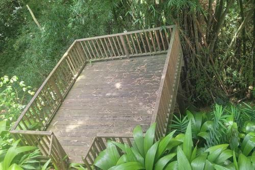 a wooden walkway in the middle of a forest at The African Lily in Kingston