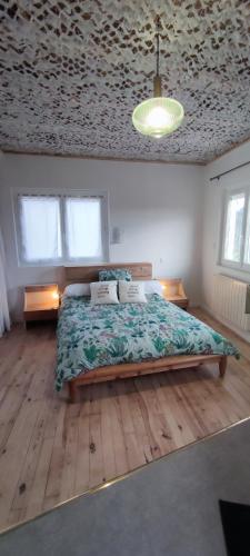 1 dormitorio con 1 cama grande y techo en La petite maison d'Hose, en Monistrol-sur-Loire