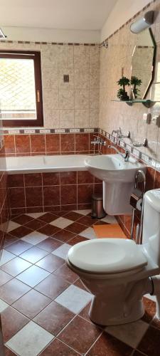 a bathroom with a toilet and a sink at Rezidence Lipka in Králíky