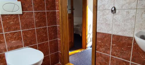 a bathroom with a toilet and a sink at Rezidence Lipka in Králíky