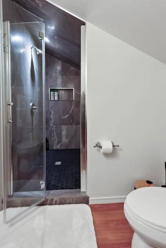 a bathroom with a shower and a toilet at Spacious Studio Unit 5 with Gorgous Canyon Views in Durango
