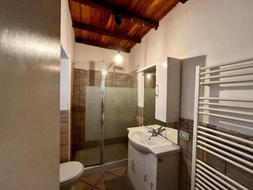 een badkamer met een wastafel, een toilet en een douche bij Accogliente Trilocale Vista Lago in Anguillara Sabazia