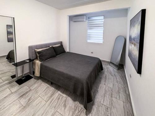 a bedroom with a bed and a mirror in it at Entire Vacation Home in San Juan - Fits 10 in San Juan