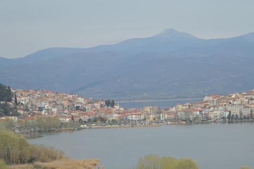 una gran masa de agua con una ciudad en el fondo en tania's view, en Kastoria