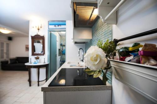 a kitchen with a sink and a counter top at Apartment Art in Rovinj