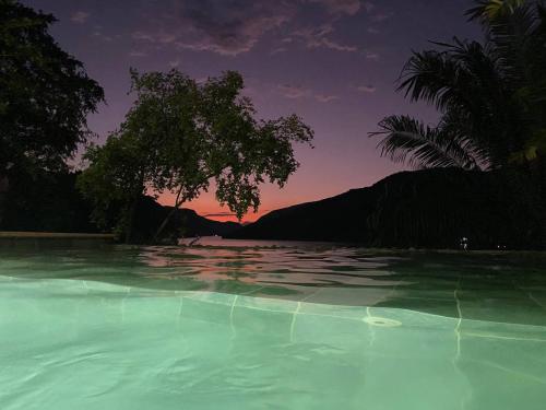 a pool of green water with a tree in the background at Cabaña de Lujo, Isla El Faro in Prado