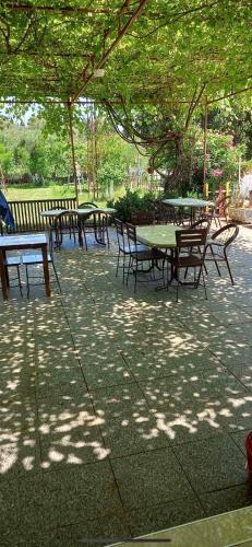 a group of picnic tables and benches under a tree at Xaxa Apartments in Ulcinj