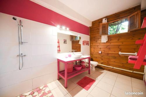 een badkamer met een wastafel en een douche bij Gite Fuchsia in Pointe-Noire