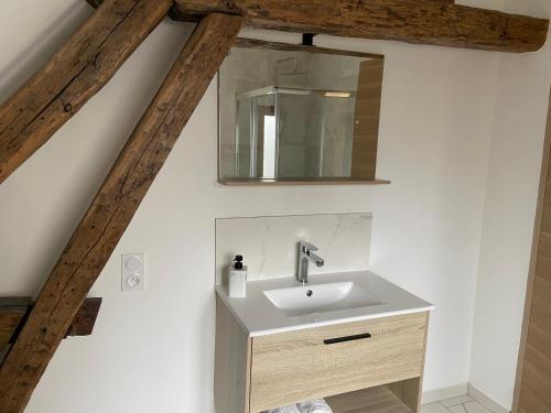 a bathroom with a sink and a mirror at La Champenoise La Tannerie in Troyes