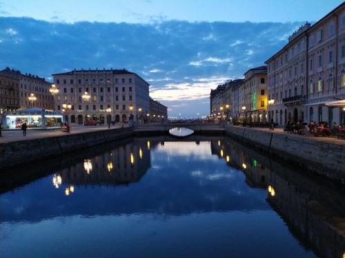 un fiume in una città con edifici e un ponte di Blu Trieste a Trieste
