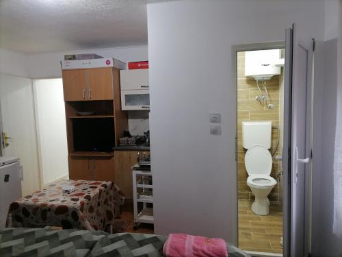 a small room with a toilet and a kitchen at Trojan i Slobodanka in Ribarska Banja