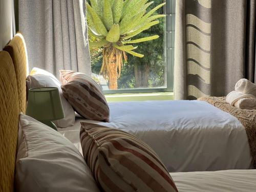 2 camas en un dormitorio con ventana y planta en ALOE cottage Valley of a 1000 hills en Drummond