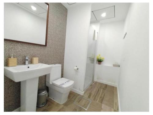 a bathroom with a sink and a toilet and a shower at apartamento triana Arellano in Seville