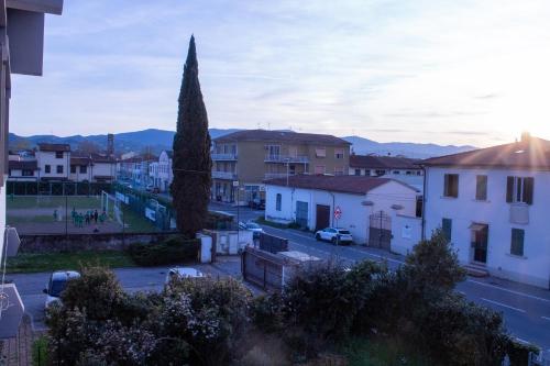 a view of a city with a tree and buildings at Bnb giglio 999 in Prato