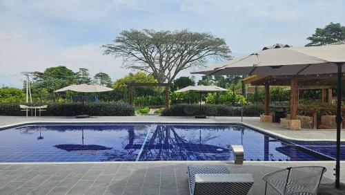 a swimming pool with chairs and umbrellas next to it at Hotel El Cielo en la Tierra in Quimbaya