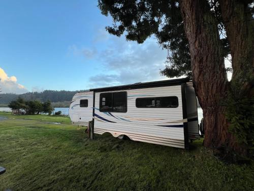 克拉馬斯的住宿－Surfside Glamping camper，停在树旁的白色拖车