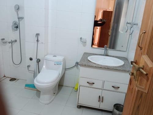 a bathroom with a toilet and a sink at Hotel Dimbir Regency in Leh