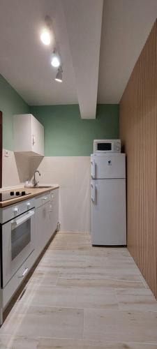 コルドバにあるLa Siesta Apartmentの緑の壁、キッチン(白い冷蔵庫付)