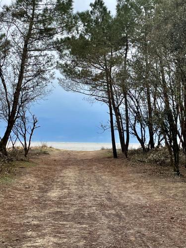 a dirt road with trees and the ocean in the background at Ecolodge 2Ch - Air conditioning - Wifi - Swimming pool and Jacuzzi open all year in Les Mathes