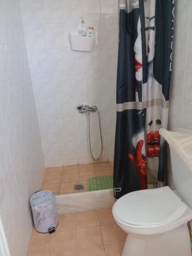 a bathroom with a shower curtain with a toilet at Cottage in Vellies 