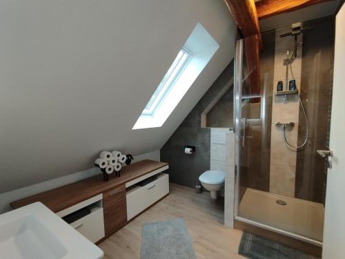 a bathroom with a shower and a sink and a toilet at Storchennest - Ferienwohnung am Storchenradweg in Ketzür