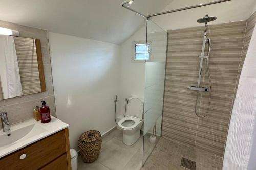 a bathroom with a shower and a toilet and a sink at Grand studio charmant, tout équipé… in Saint-Denis